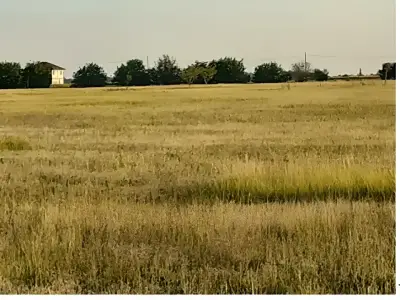 Teren de vanzare Sector 4